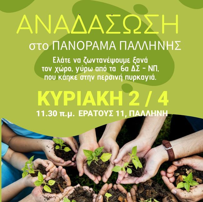 Αναδάσωση-στο-Πανόραμα-Παλλήνης-την-Κυριακή-2-Απριλίου