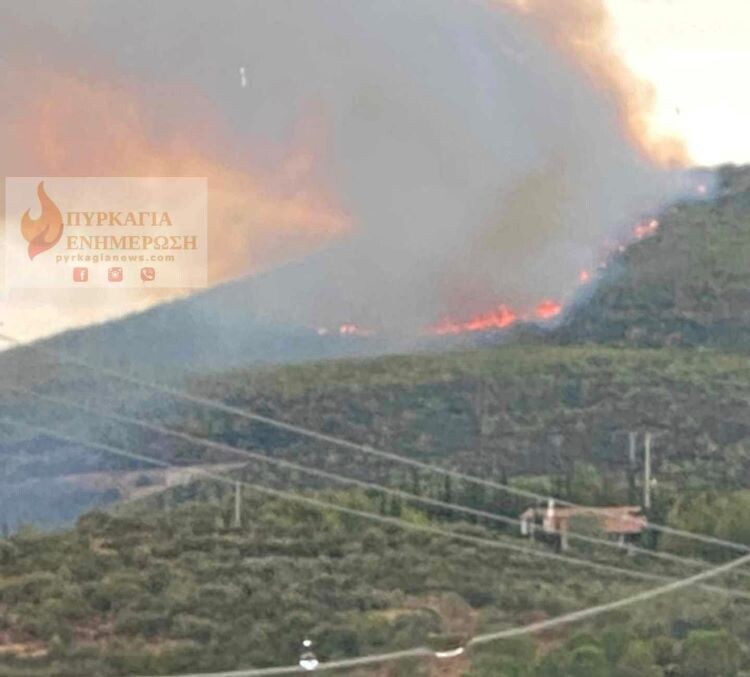 Γραμματικό-Βαρνάβας:-Φωτιές-από-κεραυνούς-συγχρόνως-μαζί-με-βροχή-(βίντεο)