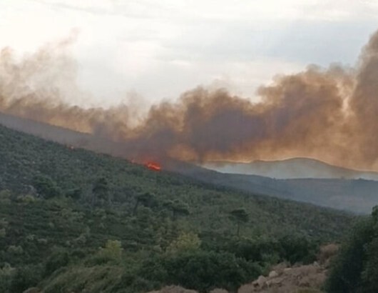 Οριοθετήθηκε-η-φωτιά-στο-Γραμματικό-–-Ξεκίνησε-από-κεραυνό