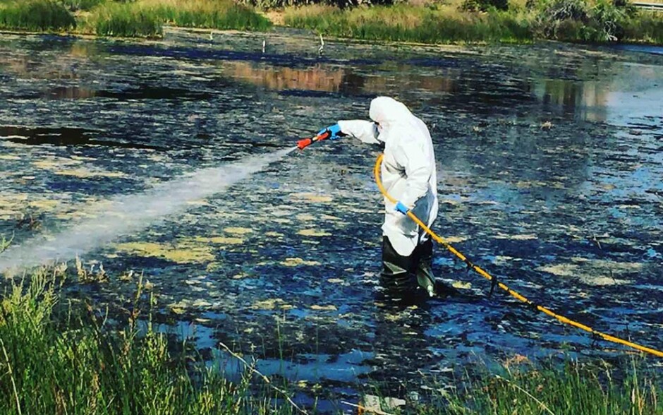 Δήμος-Μαραθώνα:-Πρόγραμμα-διαχείρισης-και-αντιμετώπισης-των-κουνουπιών-κατά-το-έτος-2023