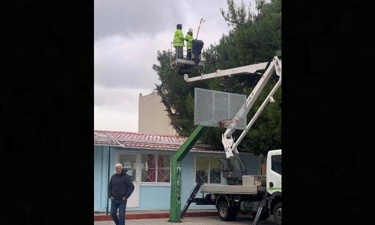 Σπάτα-Αρτέμιδα:-Καθαρισμός-των-πεύκων-από-τις-κάμπιες,-από-συνεργεία-του-δήμου