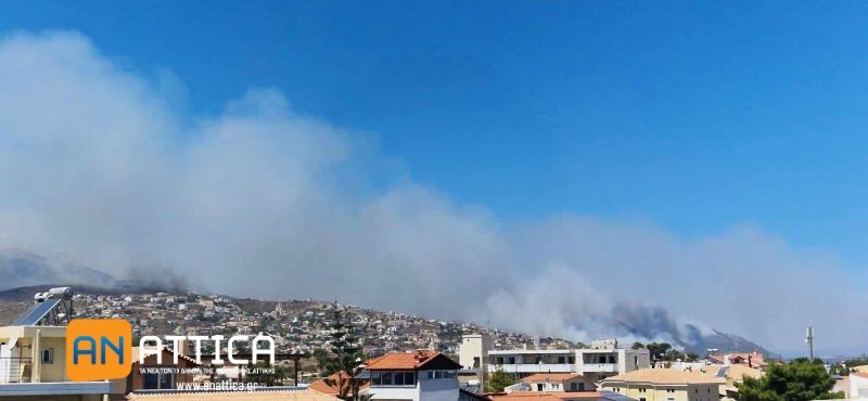 Μαραθώνας:-Οριοθετήθηκαν-οι-πυρόπληκτες-περιοχές-από-την-πυρκαγιά-της-11ης-Αυγούστου-–-προθεσμίες,-προϋποθέσεις